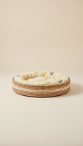 Interactive Felt Cat Toy Set